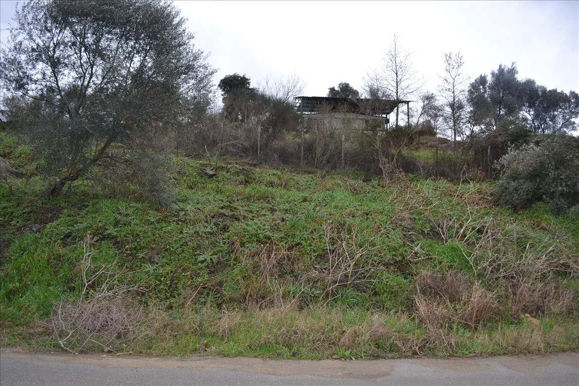 γη προς πώληση 8200 τ.μ Αριστοτέλης Χαλκιδική