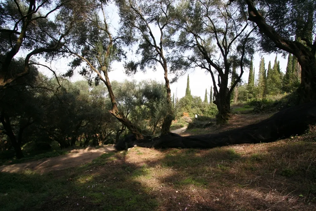 γη προς πώληση 40000 τ.μ Κέρκυρα Νομός Κέρκυρας
