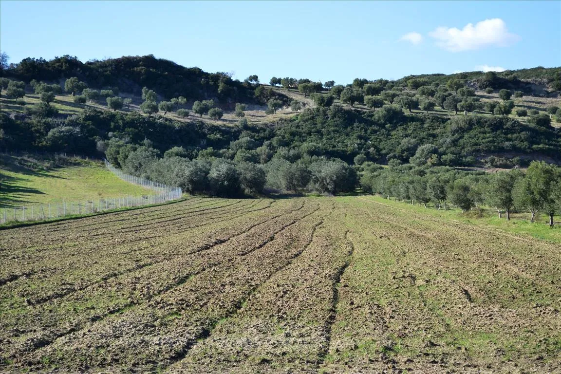 γη προς πώληση 15000 τ.μ Κασσάνδρα Χαλκιδική