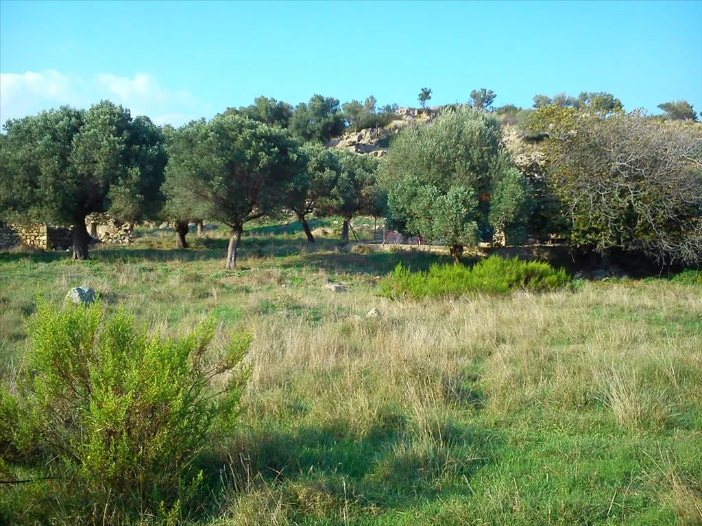 γη προς πώληση 3200 τ.μ Σιθωνία Χαλκιδική