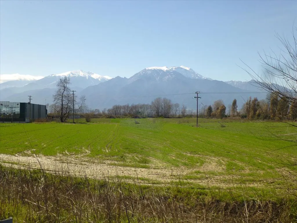 γη προς πώληση 6500 τ.μ  Νομός Πιερίας