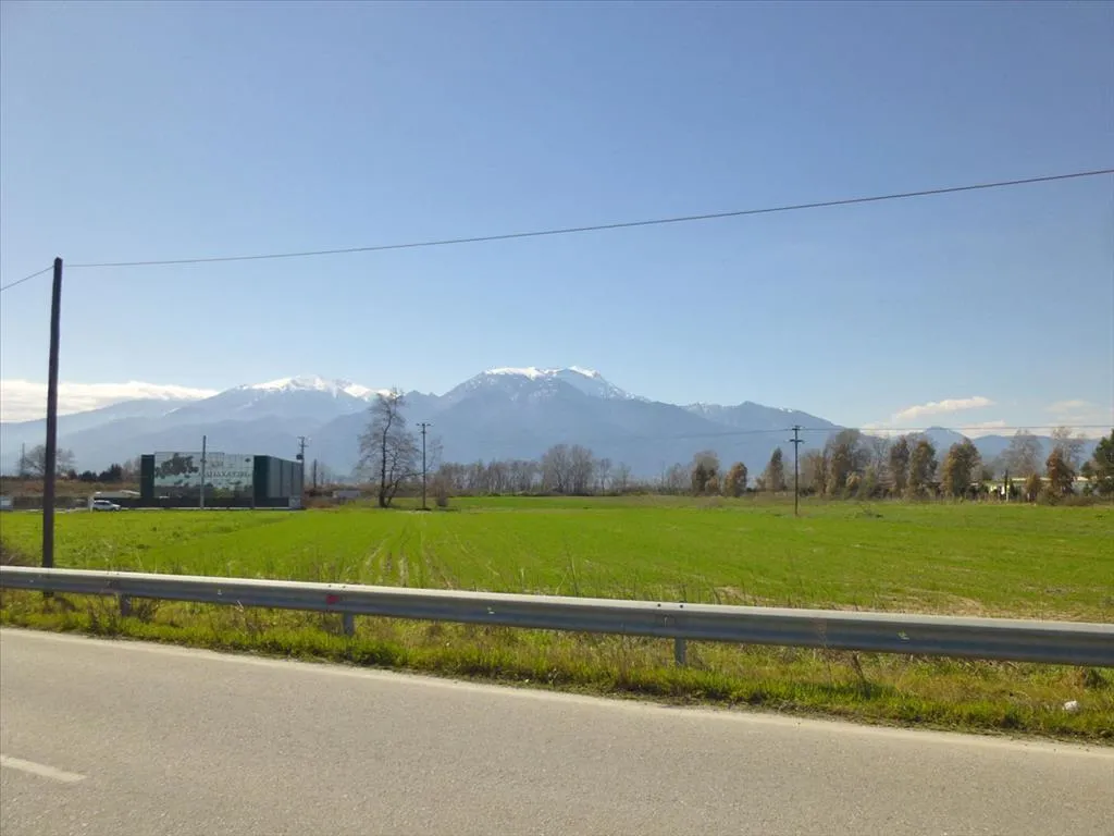 γη προς πώληση 6500 τ.μ  Νομός Πιερίας