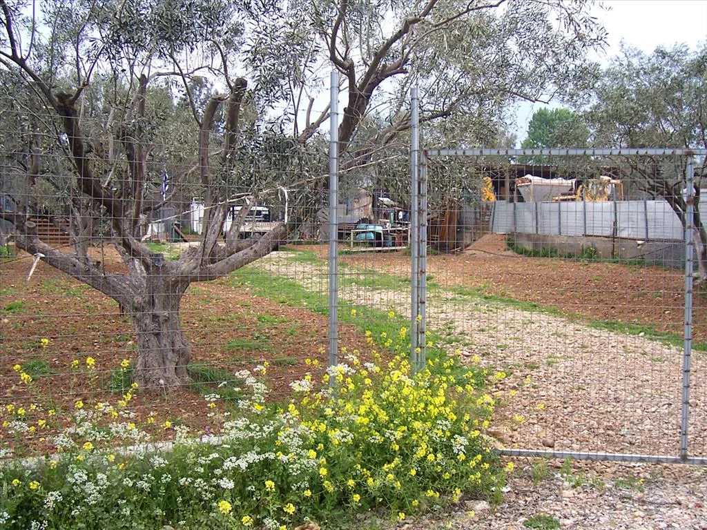 γη προς πώληση 1200 τ.μ Ανθηδώνα Εύβοια