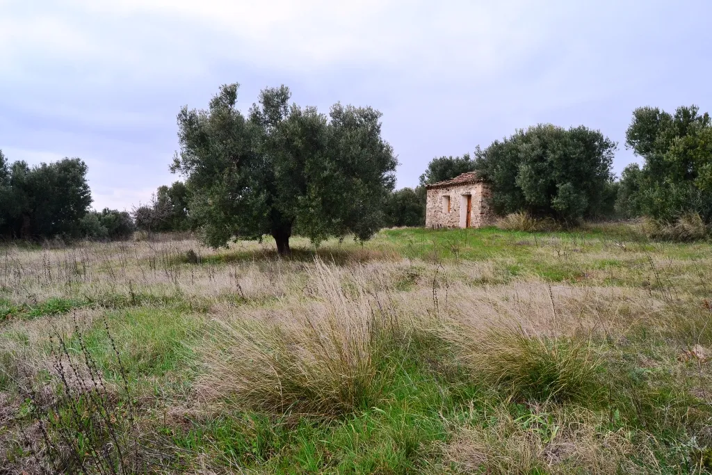 γη προς πώληση 34000 τ.μ Πολύγυρος Χαλκιδική