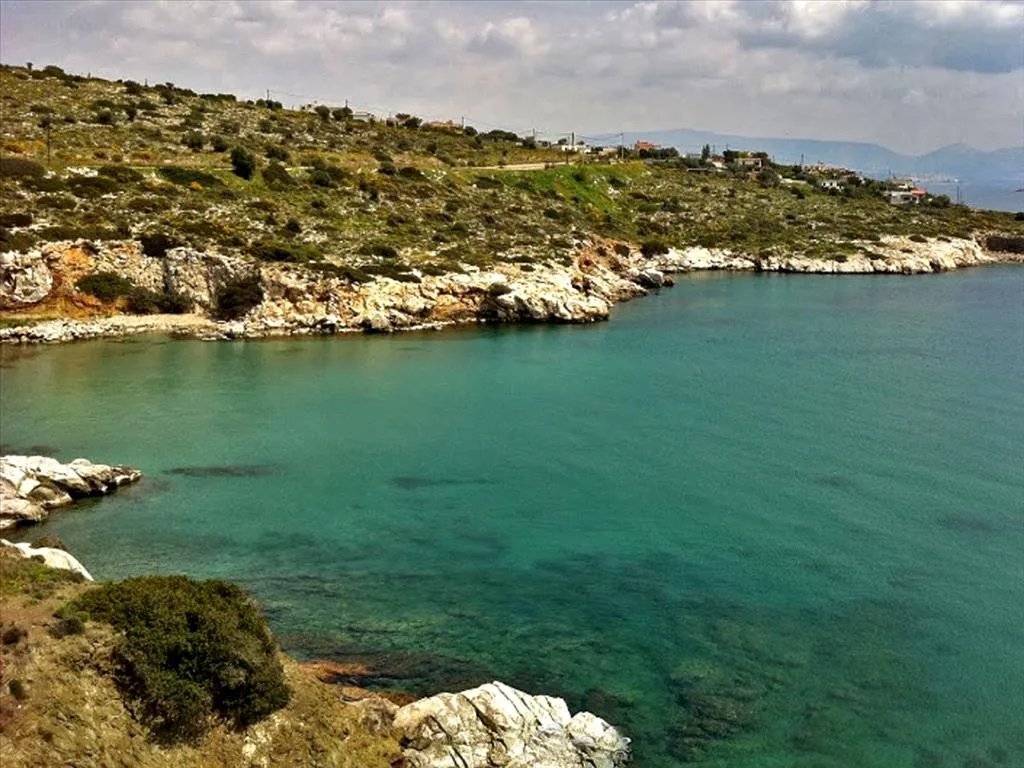 γη προς πώληση 9000 τ.μ Σαλαμίνα Νησιά Αργοσαρωνικού