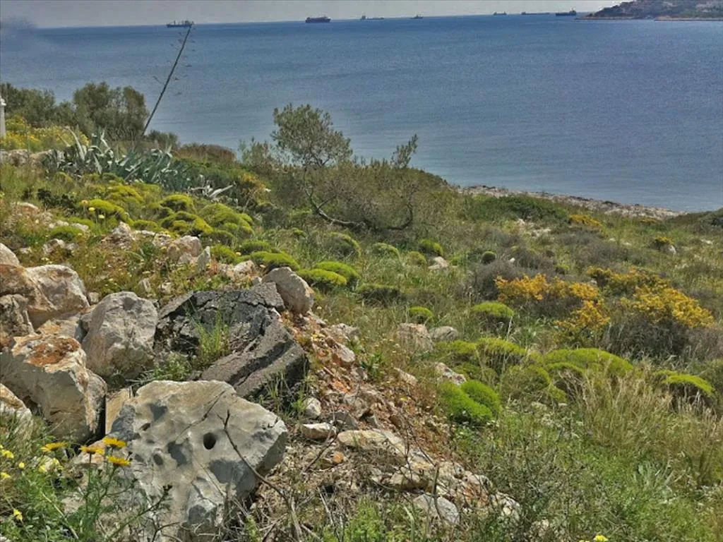 γη προς πώληση 9000 τ.μ Σαλαμίνα Νησιά Αργοσαρωνικού