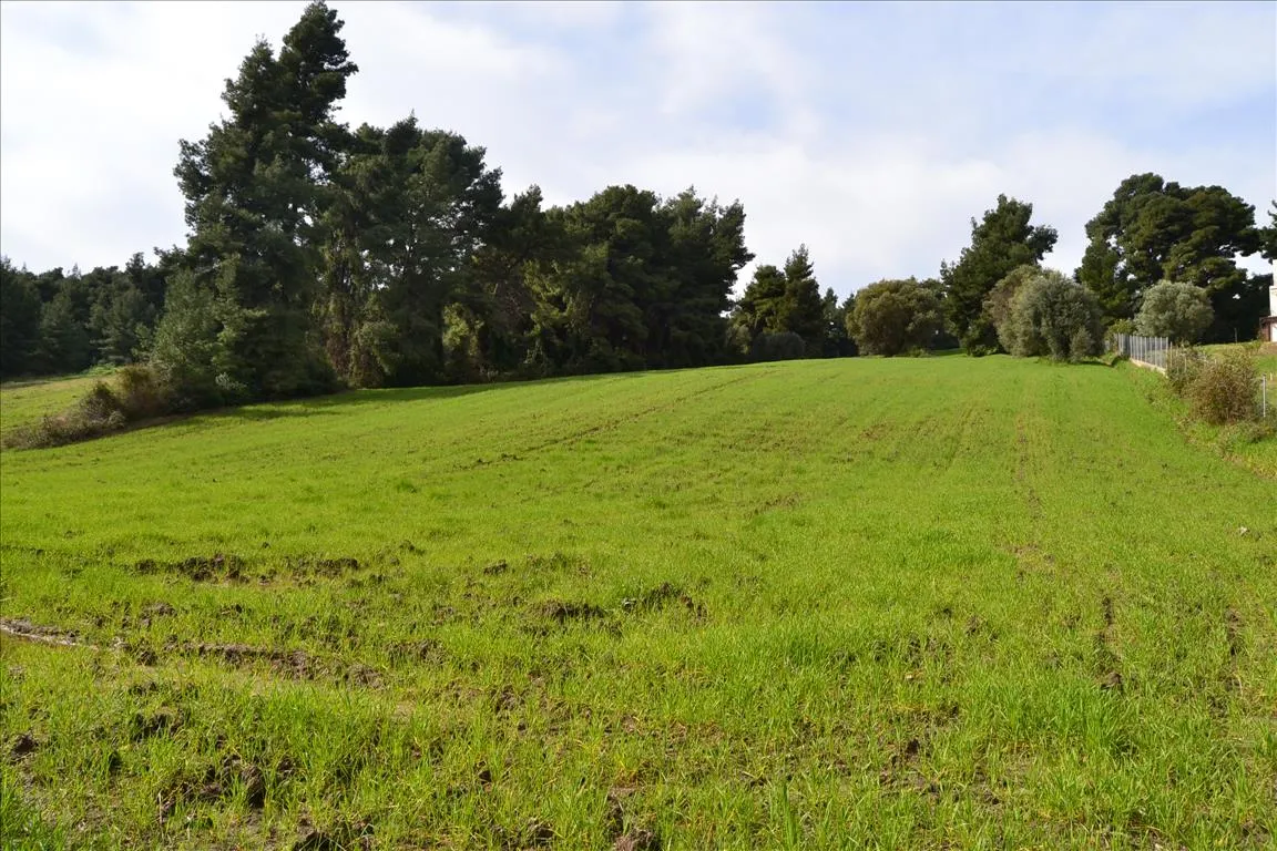 γη προς πώληση 6750 τ.μ Κασσάνδρα Χαλκιδική