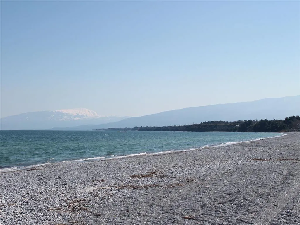 γη προς πώληση 4008 τ.μ  Νομός Πιερίας