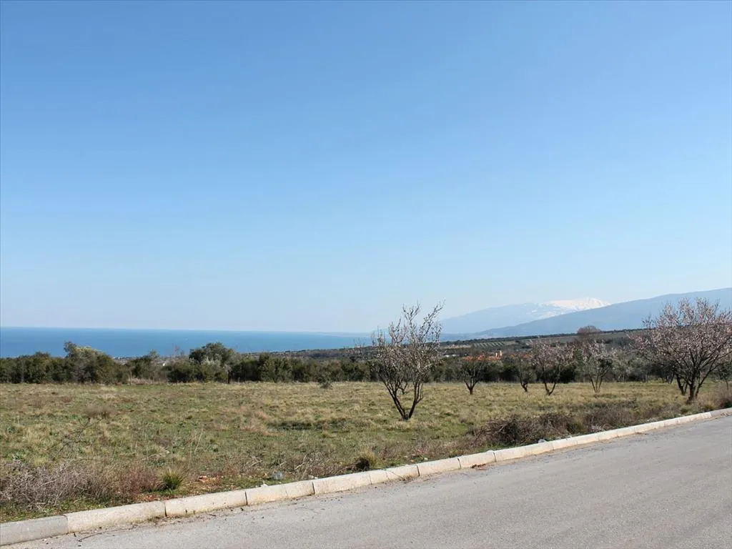 γη προς πώληση 1200 τ.μ Λιτόχωρο Νομός Πιερίας