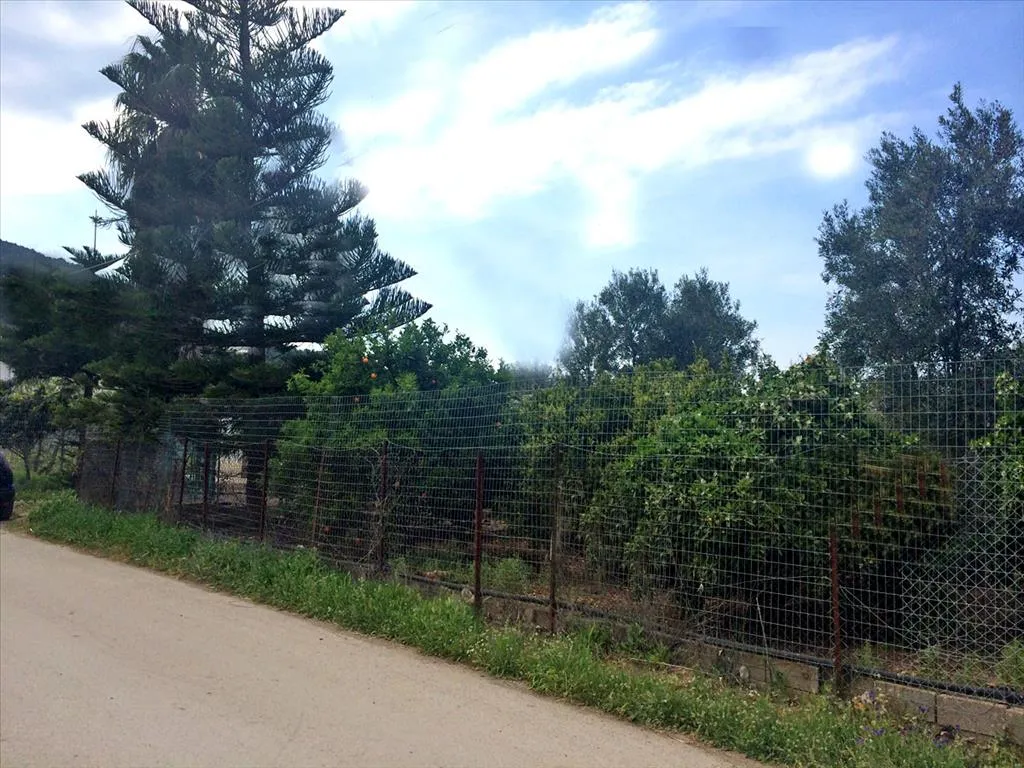 γη προς πώληση 1614 τ.μ Λουτράκι-Περαχώρα Κορινθία