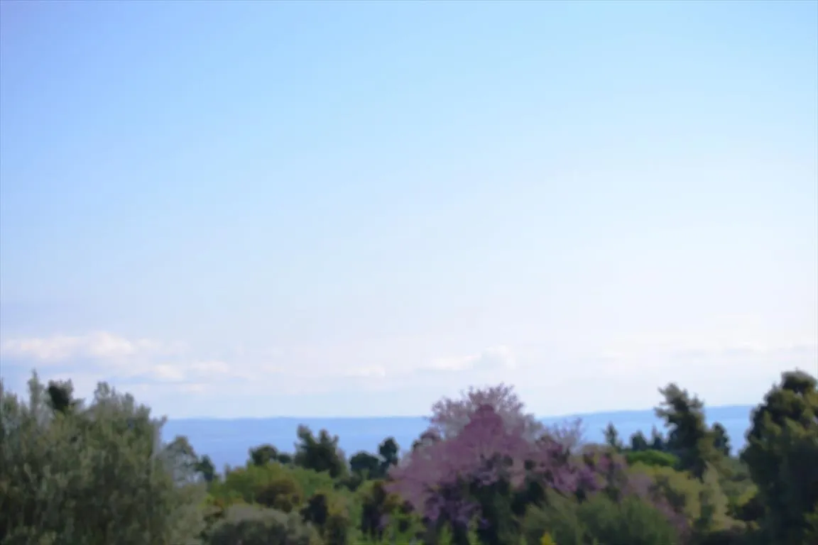 γη προς πώληση 3600 τ.μ Κασσάνδρα Χαλκιδική