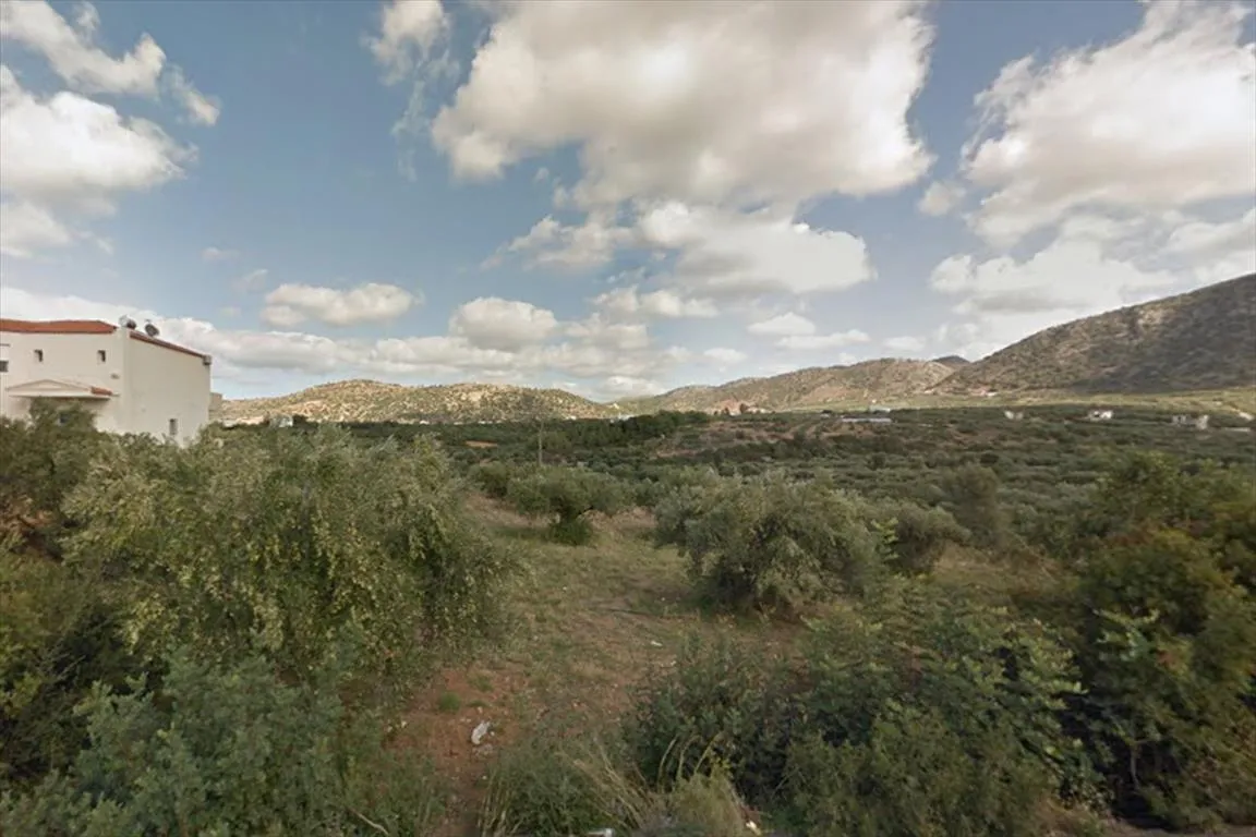 γη προς πώληση 3000 τ.μ Βραχάσι Νομός Λασιθίου