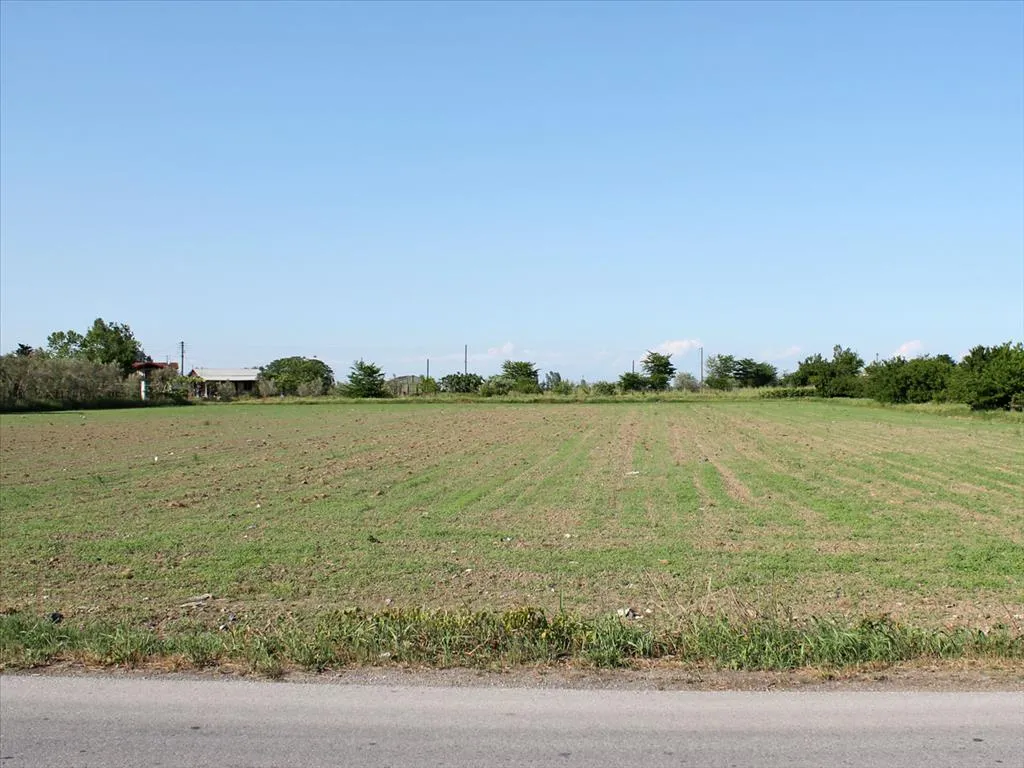 γη προς πώληση 6000 τ.μ Κατερίνη Νομός Πιερίας