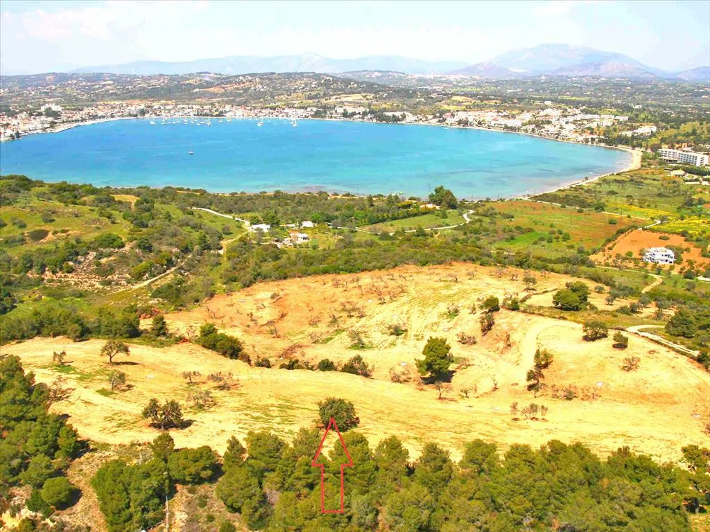 γη προς πώληση 40000 τ.μ Κρανίδι Αργολίδα