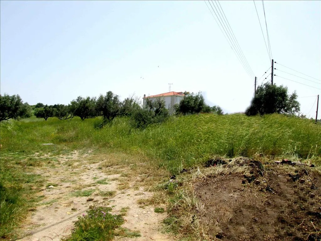 γη προς πώληση 3100 τ.μ Σιθωνία Χαλκιδική