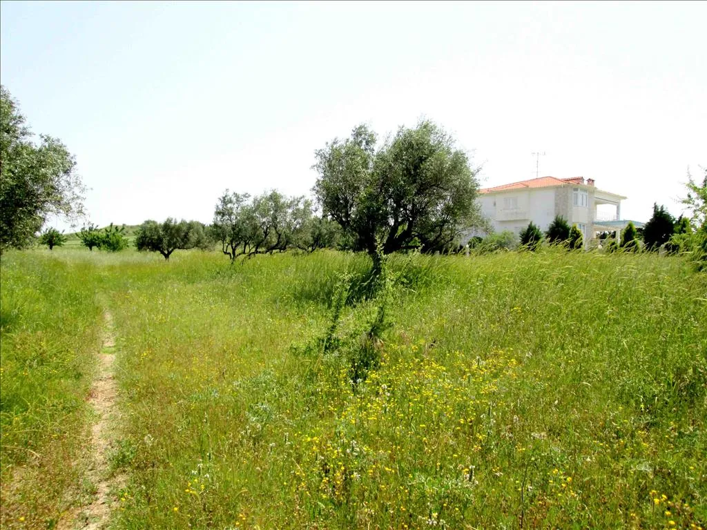 γη προς πώληση 3100 τ.μ Σιθωνία Χαλκιδική