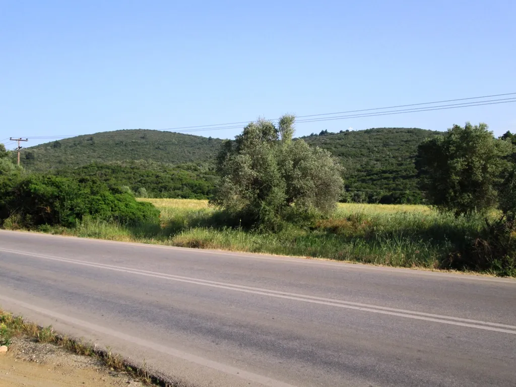 γη προς πώληση 12000 τ.μ Πολύγυρος Χαλκιδική