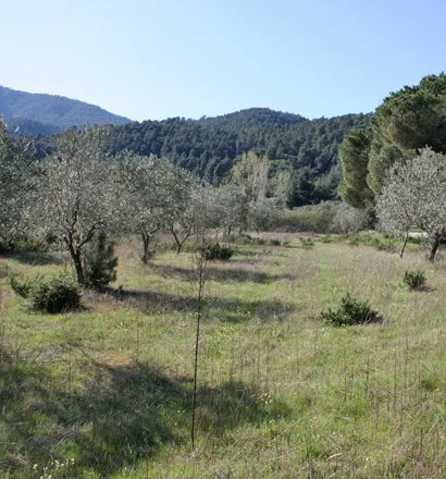 γη προς πώληση 17643 τ.μ Σιθωνία Χαλκιδική