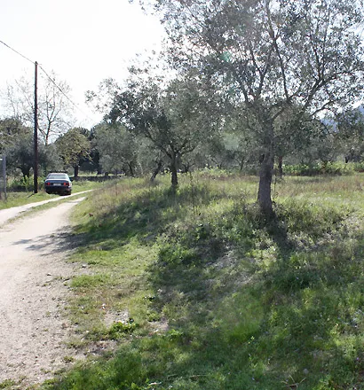 γη προς πώληση 17643 τ.μ Σιθωνία Χαλκιδική