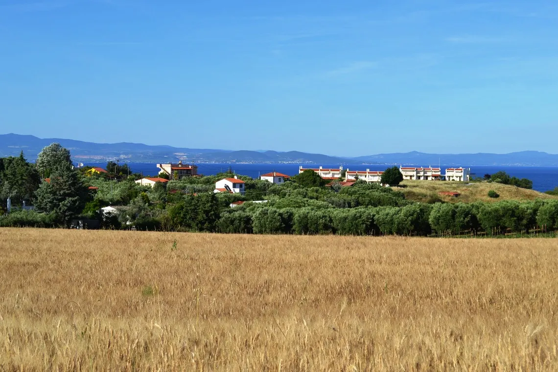 γη προς πώληση 6000 τ.μ Κασσάνδρα Χαλκιδική