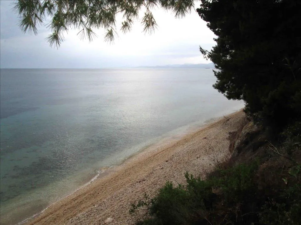 γη προς πώληση 54096 τ.μ Σιθωνία Χαλκιδική