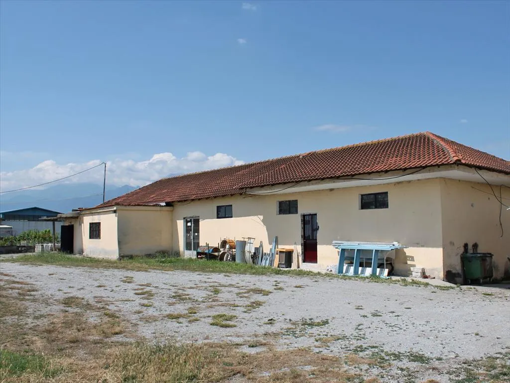 επιχείρηση προς πώληση 250 τ.μ Κατερίνη Νομός Πιερίας