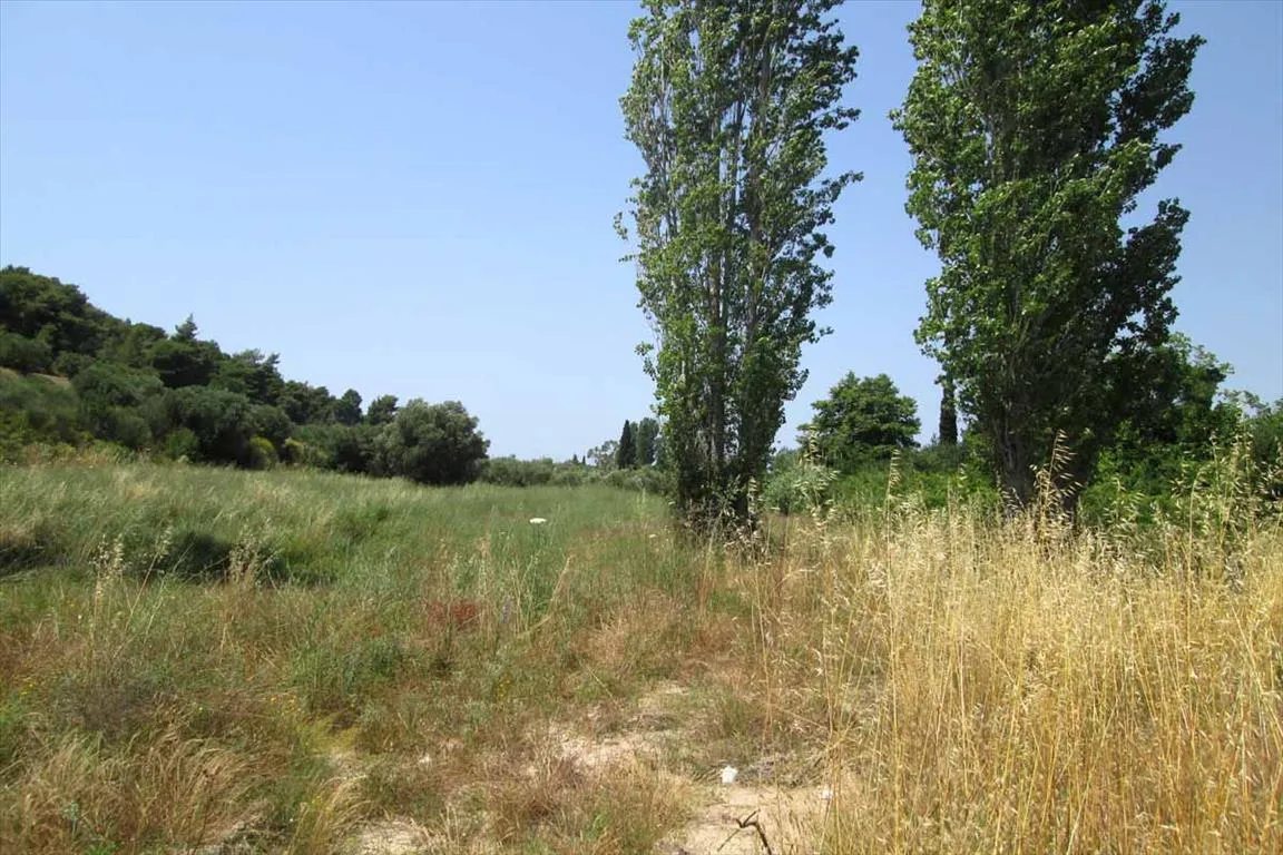 γη προς πώληση 6533 τ.μ Σιθωνία Χαλκιδική