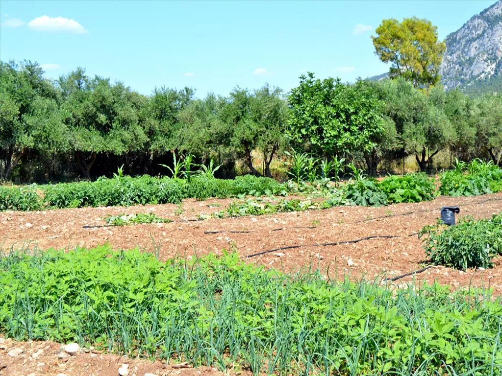 γη προς πώληση 3941 τ.μ Λουτράκι-Περαχώρα Κορινθία