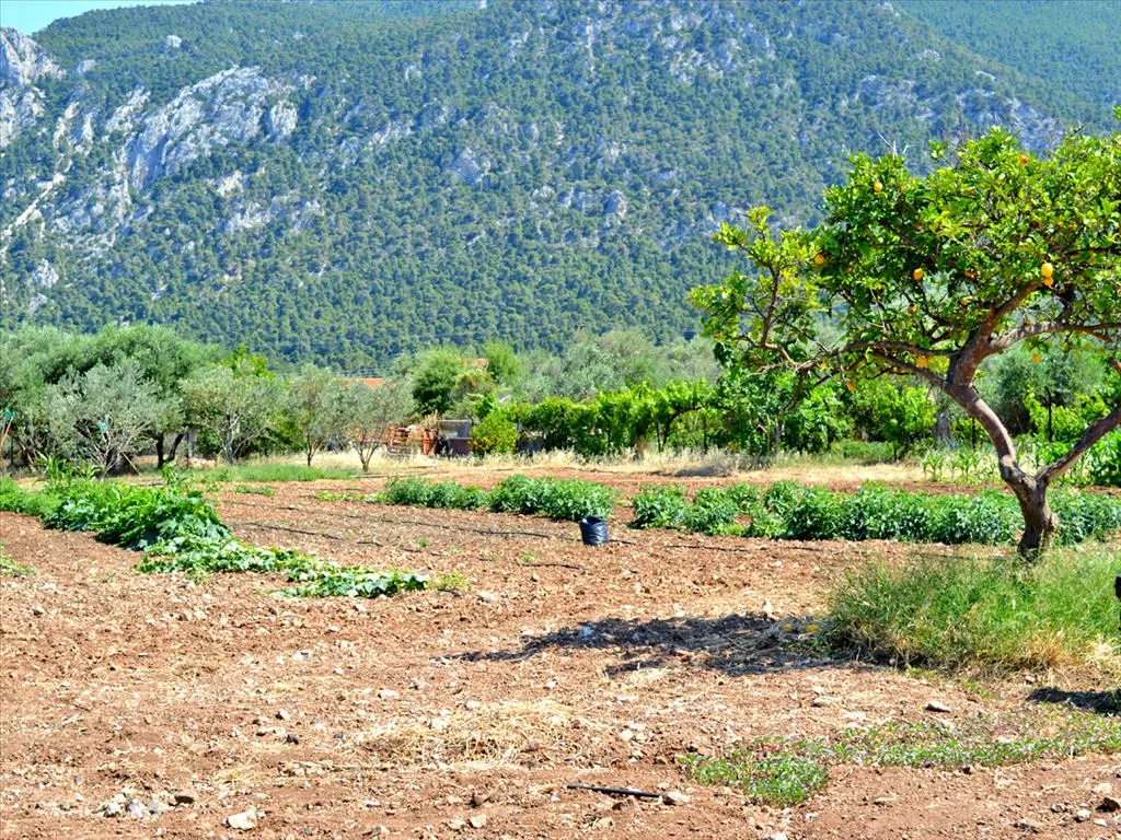 γη προς πώληση 3941 τ.μ Λουτράκι-Περαχώρα Κορινθία