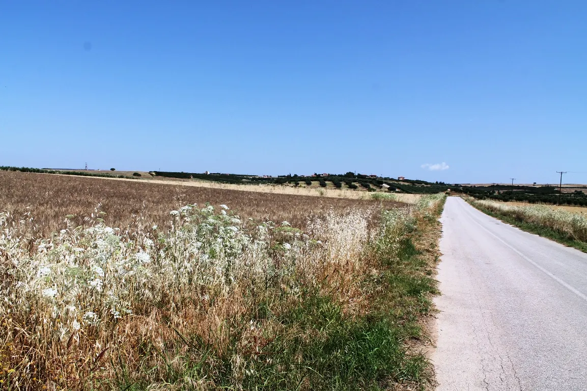 γη προς πώληση 5250 τ.μ Νέα Προποντίδα Χαλκιδική