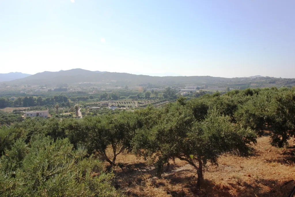 γη προς πώληση 8100 τ.μ  Νομός Χανίων