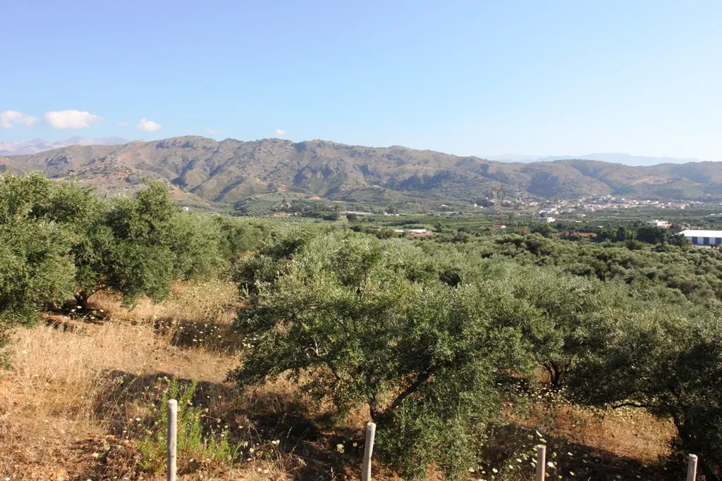 γη προς πώληση 8100 τ.μ  Νομός Χανίων