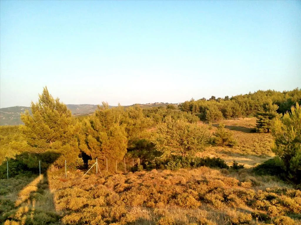 γη προς πώληση 7300 τ.μ Κάλαμος Υπόλοιπη Αττικής