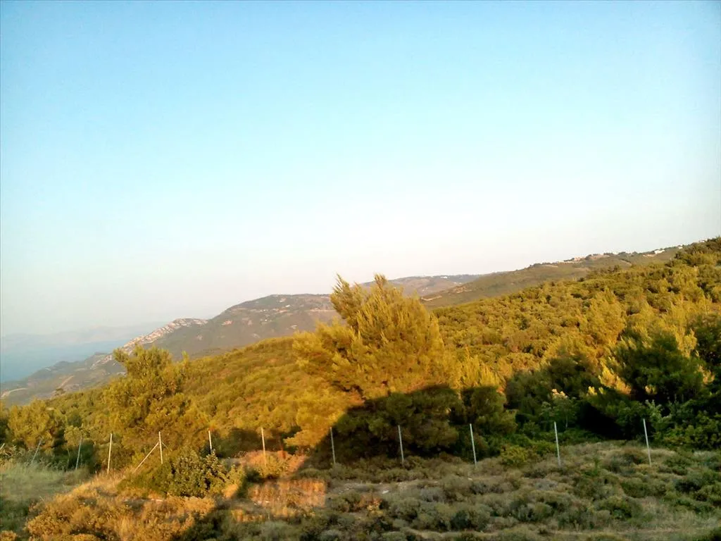 γη προς πώληση 7300 τ.μ Κάλαμος Υπόλοιπη Αττικής