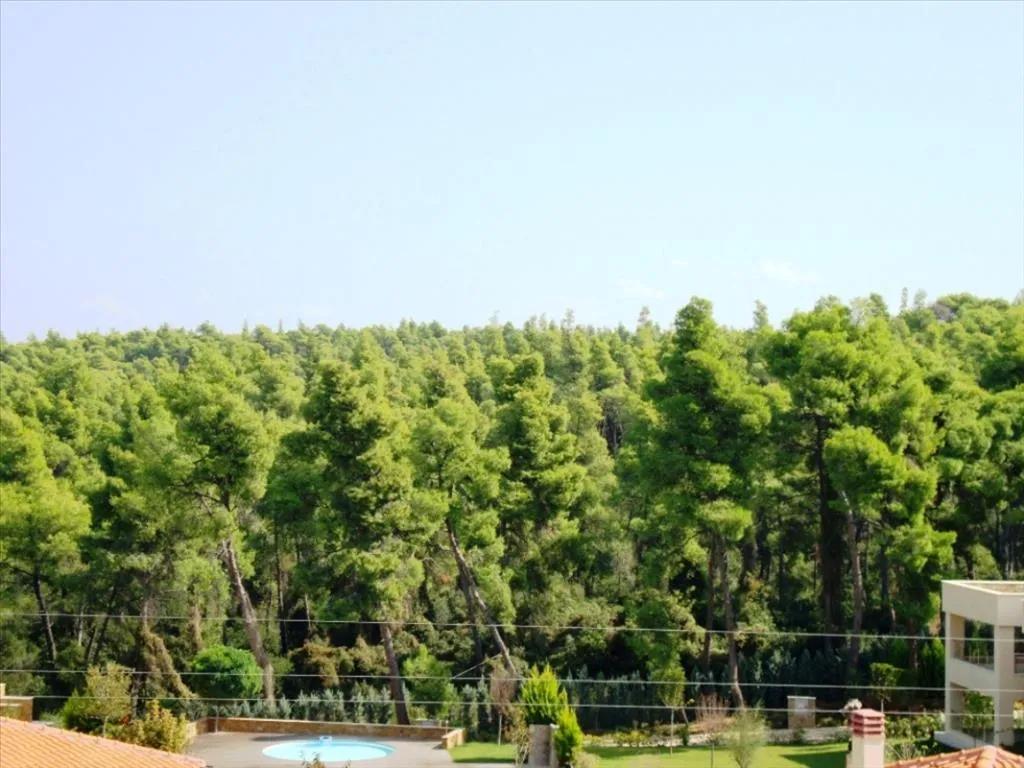 μεζονέτα προς πώληση 142 τ.μ Κασσάνδρα Χαλκιδική