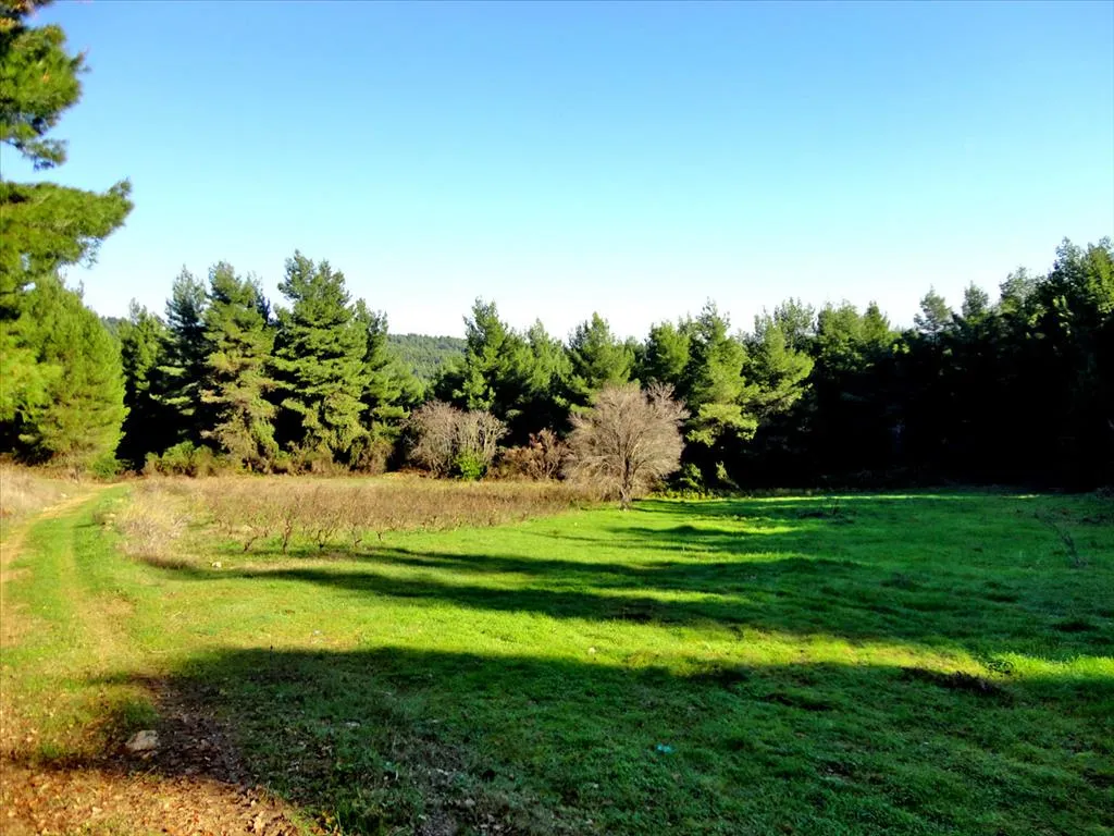 γη προς πώληση 111500 τ.μ Νηλέας Εύβοια