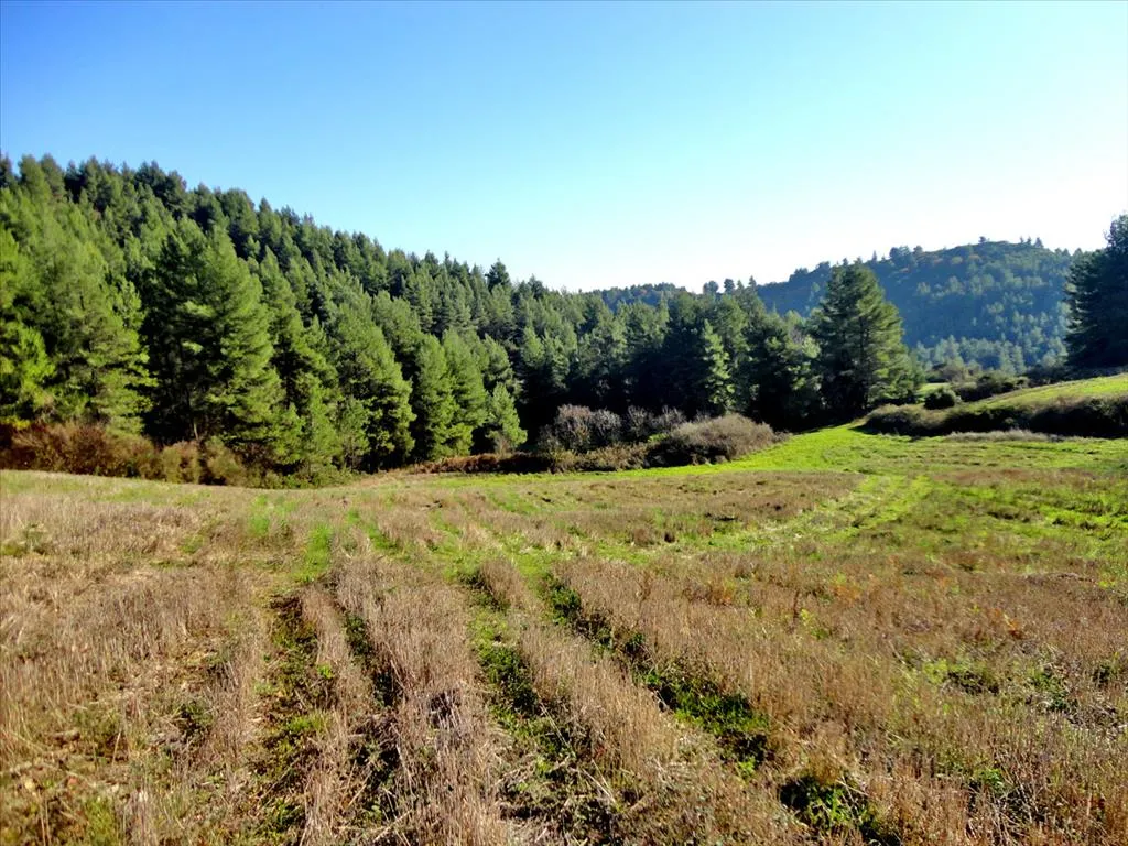 γη προς πώληση 111500 τ.μ Νηλέας Εύβοια