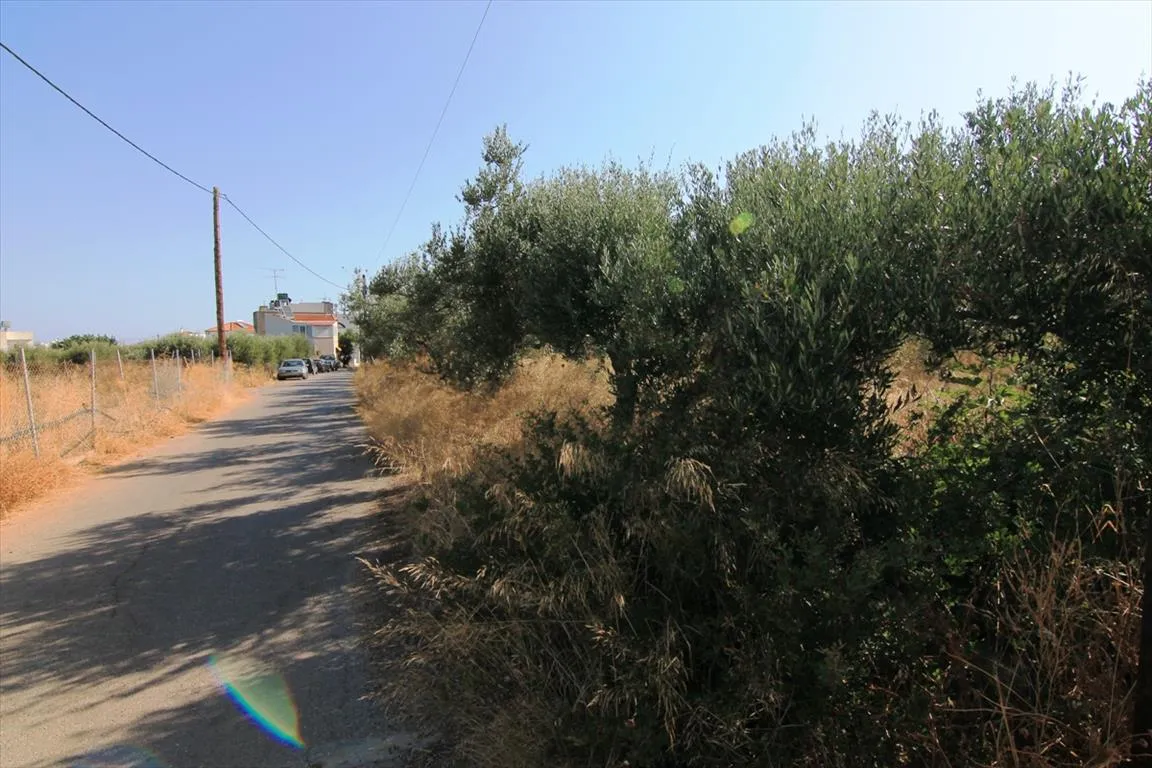 γη προς πώληση 1500 τ.μ Βραχάσι Νομός Λασιθίου