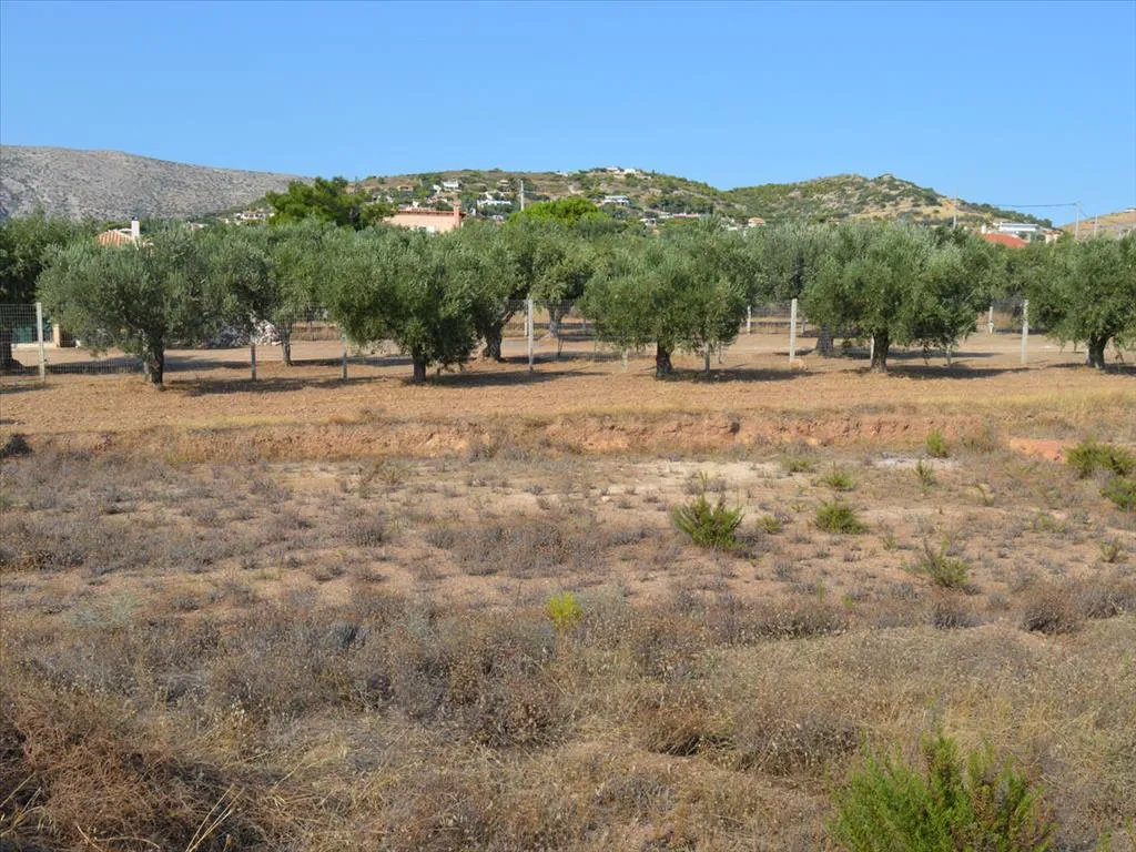 γη προς πώληση 2052 τ.μ Ανάβυσσος Υπόλοιπη Αττικής