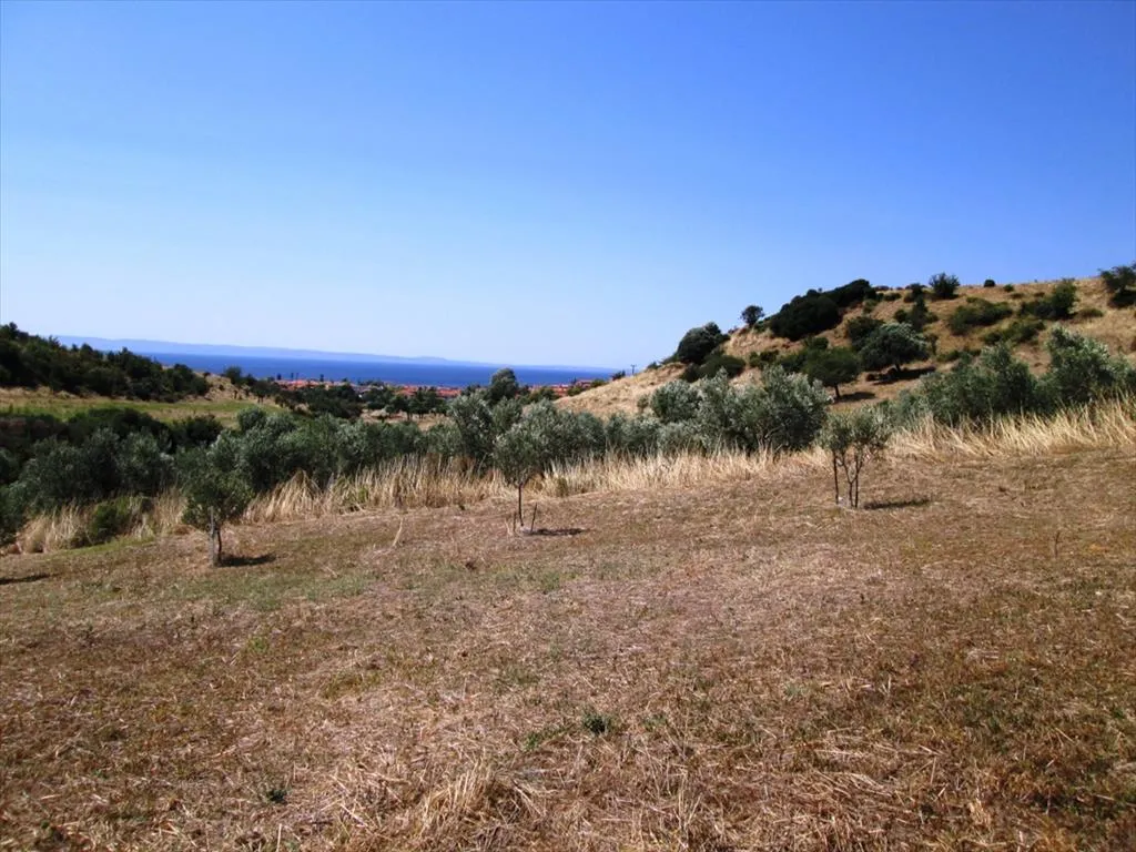 γη προς πώληση 2479 τ.μ Σιθωνία Χαλκιδική