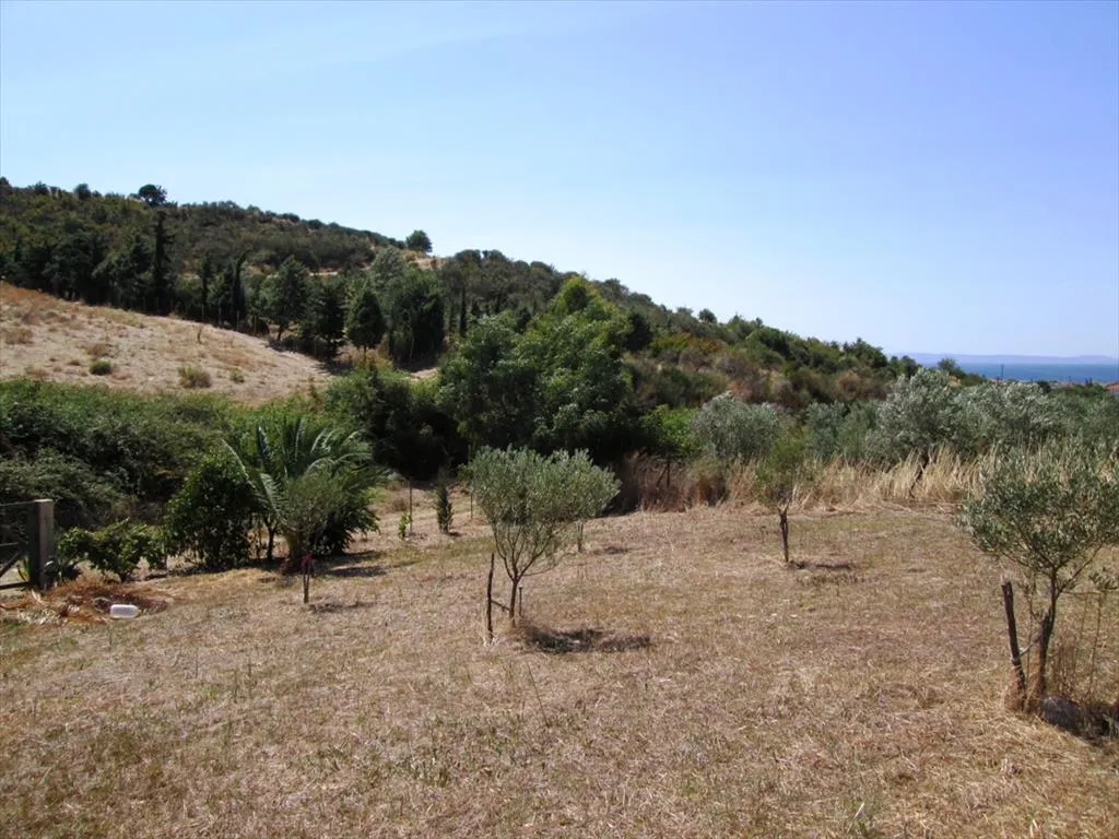 γη προς πώληση 2479 τ.μ Σιθωνία Χαλκιδική