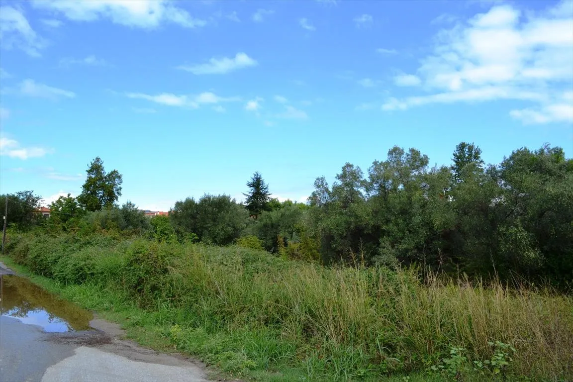 γη προς πώληση 8100 τ.μ Κασσάνδρα Χαλκιδική