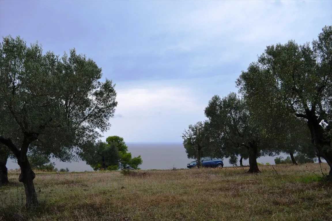 γη προς πώληση 4200 τ.μ Κασσάνδρα Χαλκιδική