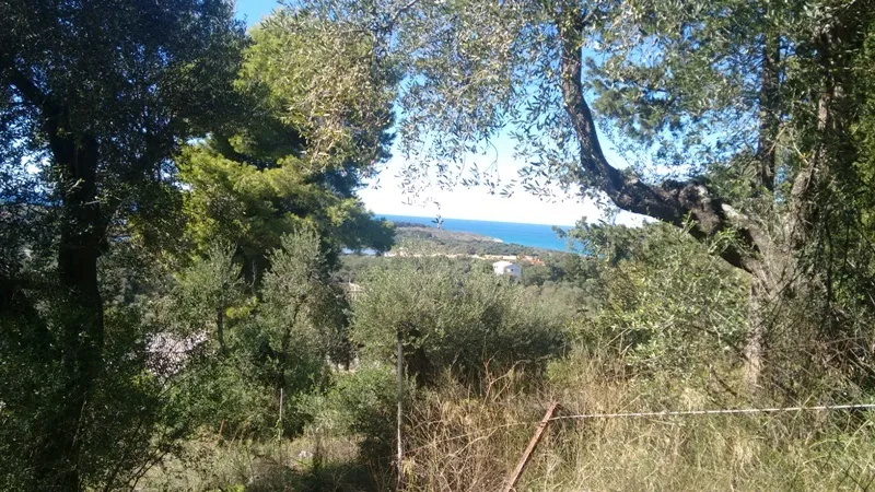 γη προς πώληση 3447 τ.μ Κέρκυρα Νομός Κέρκυρας