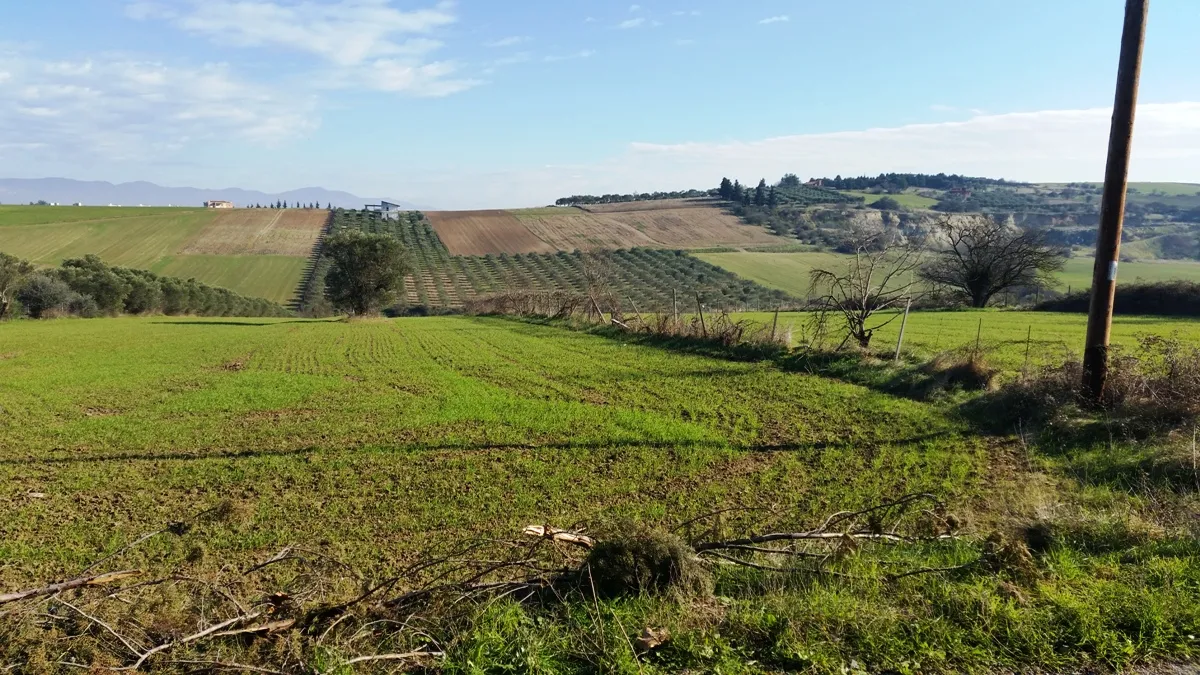 γη προς πώληση 8194 τ.μ Θερμαϊκός Προάστια Θεσσαλονίκης