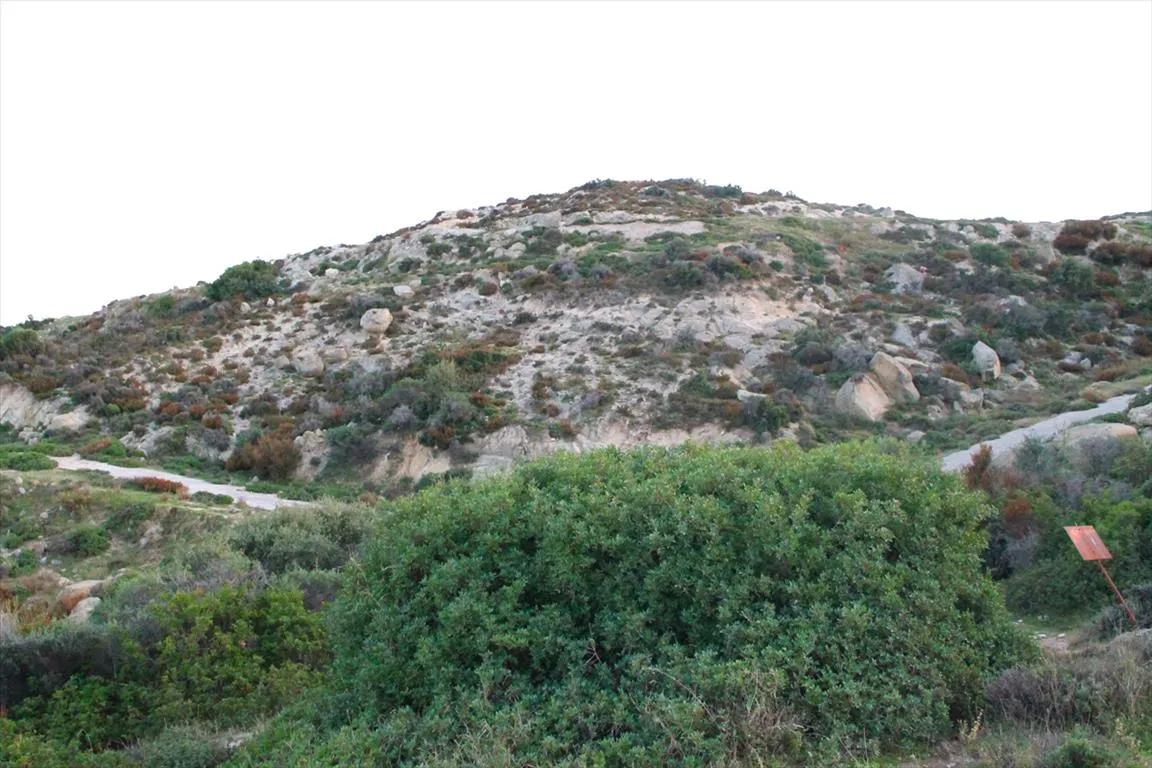 γη προς πώληση 500 τ.μ Σιθωνία Χαλκιδική