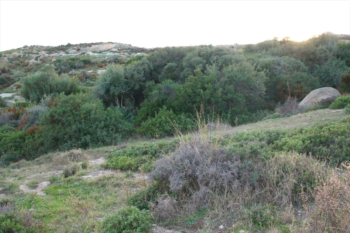 γη προς πώληση 500 τ.μ Σιθωνία Χαλκιδική