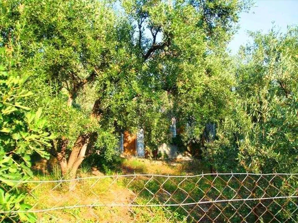 γη προς πώληση 1400 τ.μ Βόλος Μαγνησία