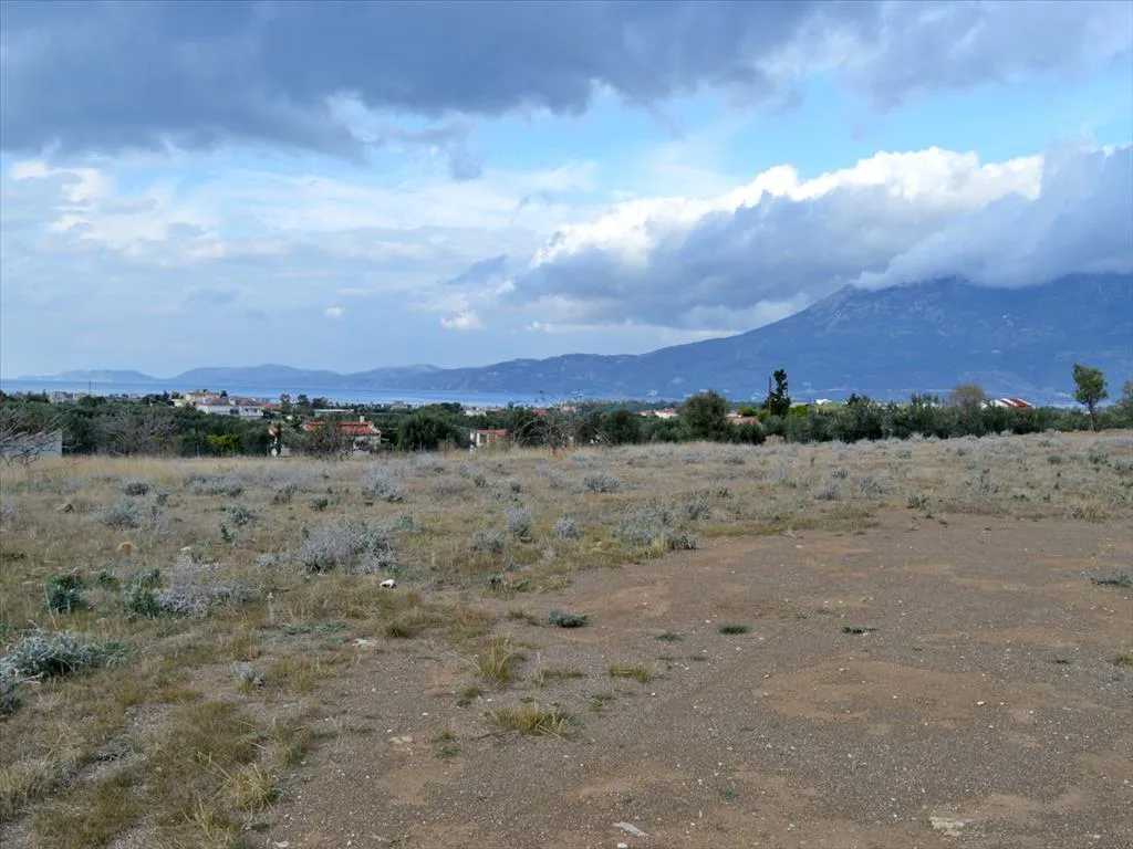 γη προς πώληση 4700 τ.μ Κόρινθος Κορινθία