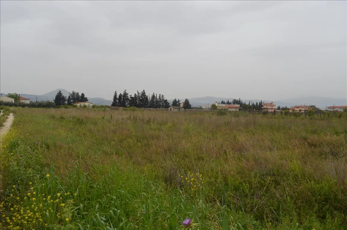 γη προς πώληση 500 τ.μ Βόχα Κορινθία